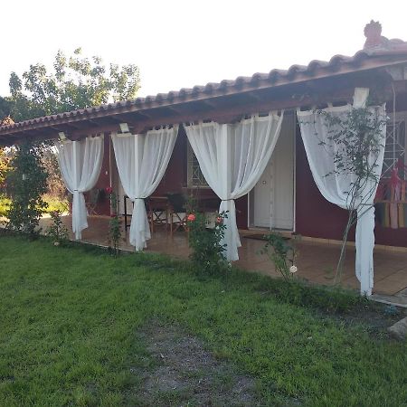 Olive Garden Guest House Kyparissia Ngoại thất bức ảnh