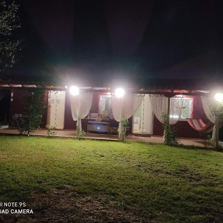 Olive Garden Guest House Kyparissia Ngoại thất bức ảnh