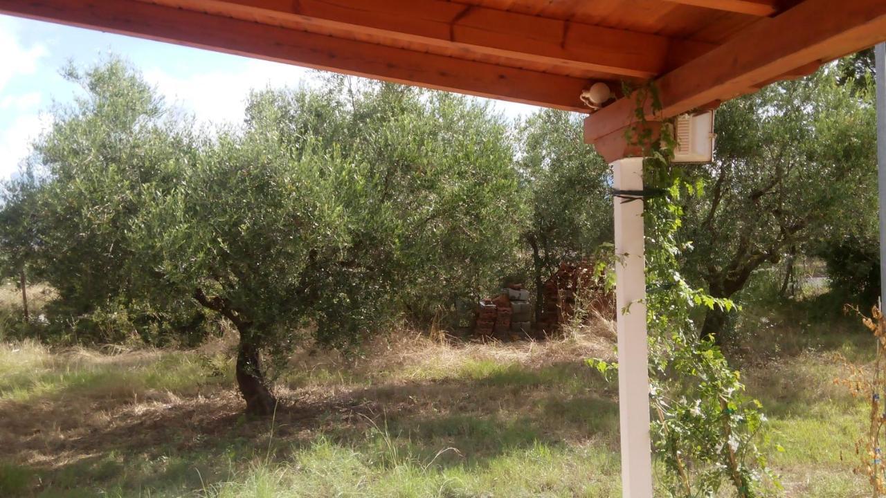 Olive Garden Guest House Kyparissia Ngoại thất bức ảnh
