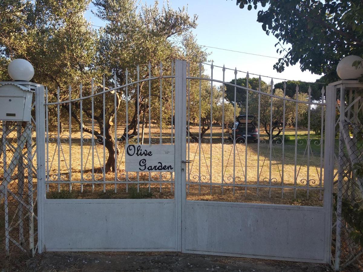 Olive Garden Guest House Kyparissia Ngoại thất bức ảnh