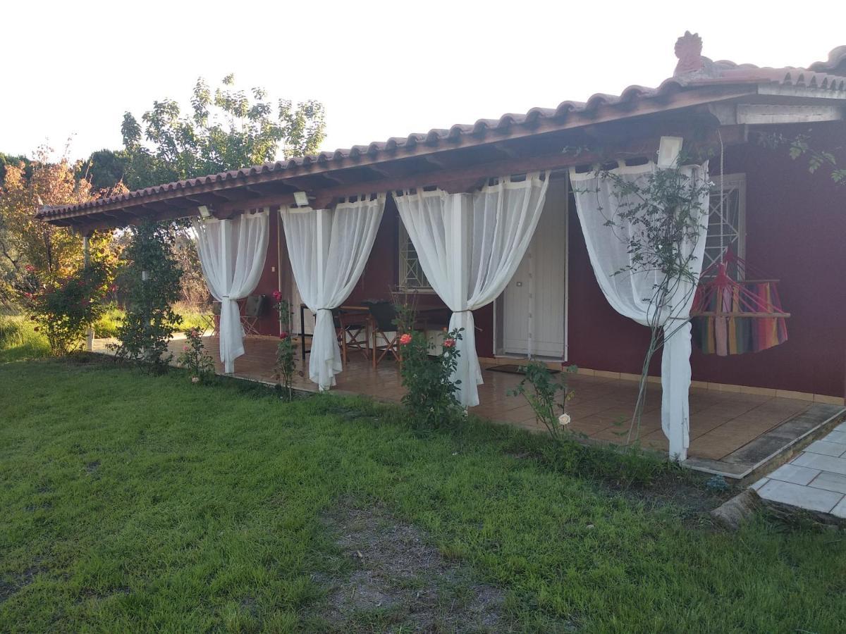 Olive Garden Guest House Kyparissia Ngoại thất bức ảnh